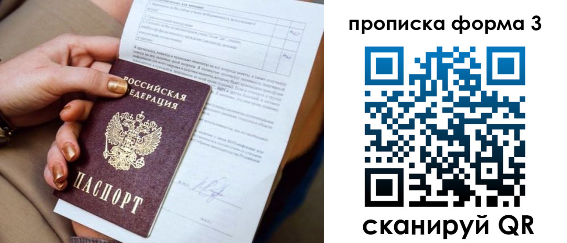 прописка поиск в Каргате